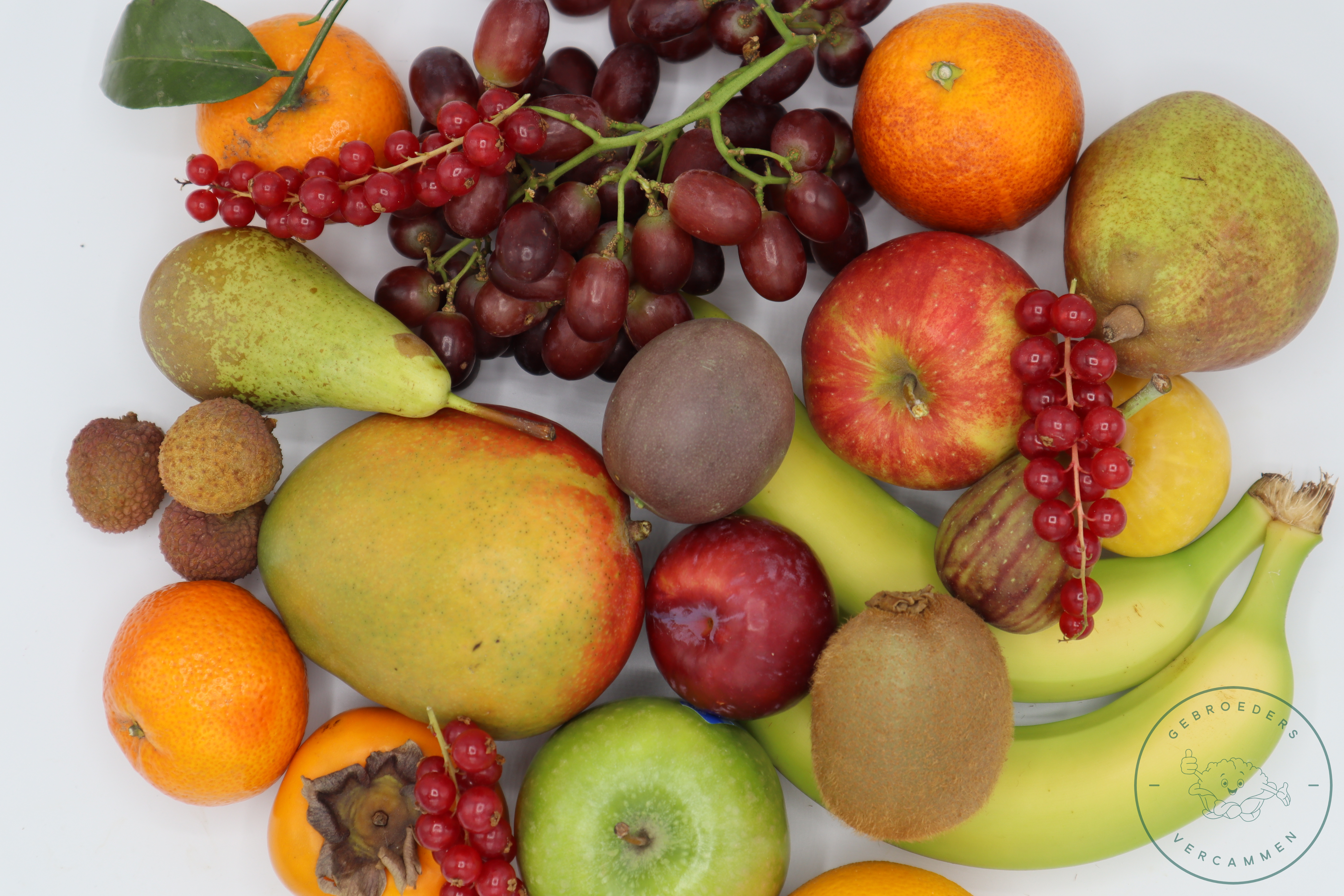 fruit